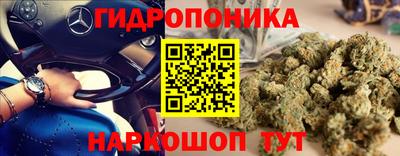 эйфоретик Гудермес