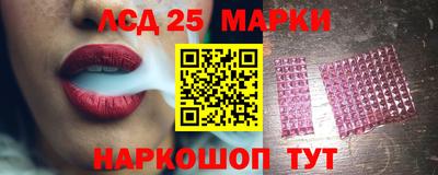 спиды Долгопрудный