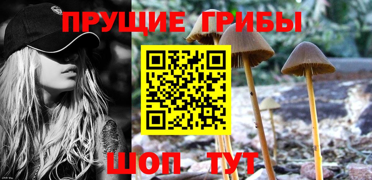 закладки  Вход с VPN  Асбест  Галлюциногенные грибы Magic Shrooms  Галлюциногенные грибы Psilocybine cubensis 
