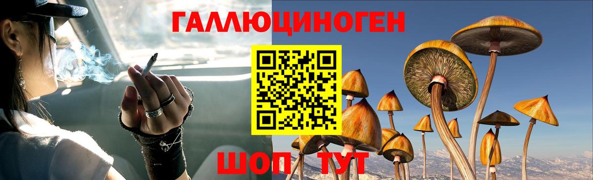 Галлюциногенные грибы GOLDEN TEACHER Асбест